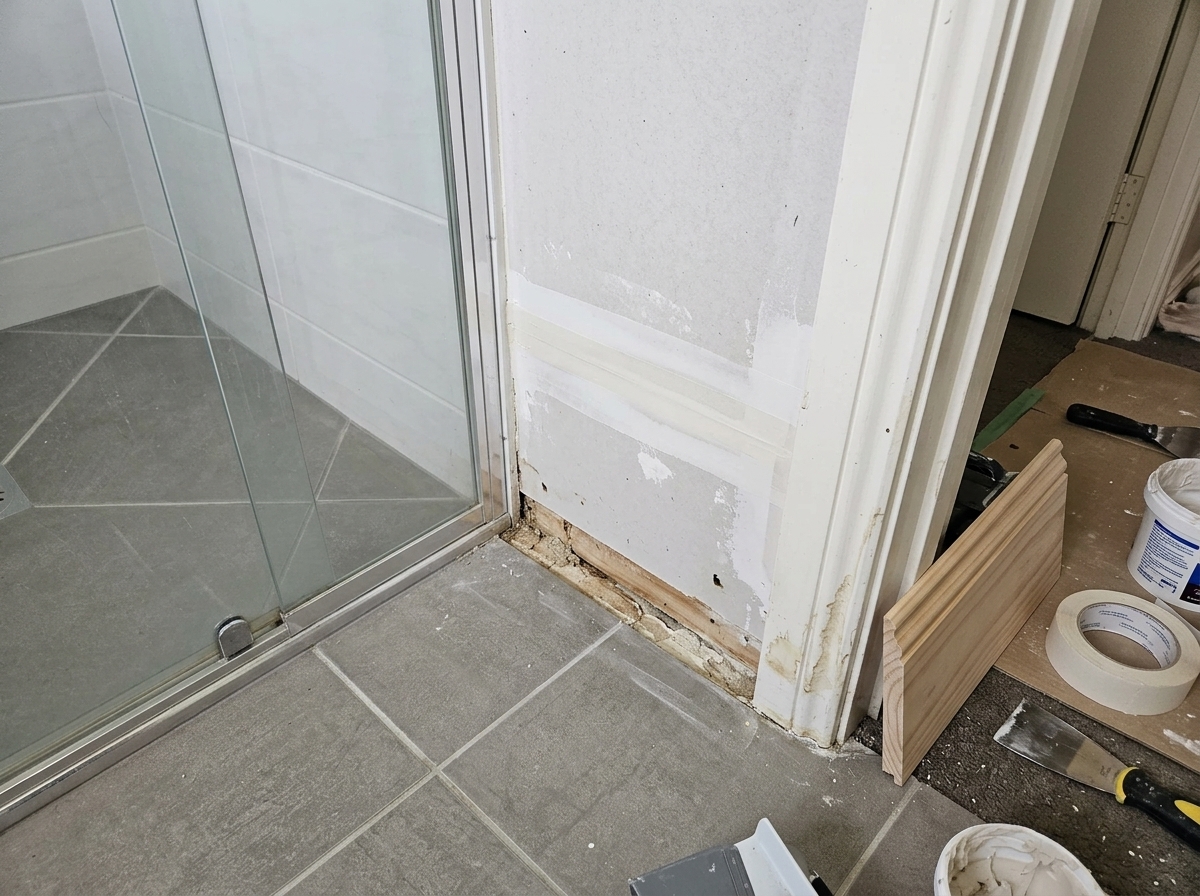 Moisture remediation & building restoration service detail