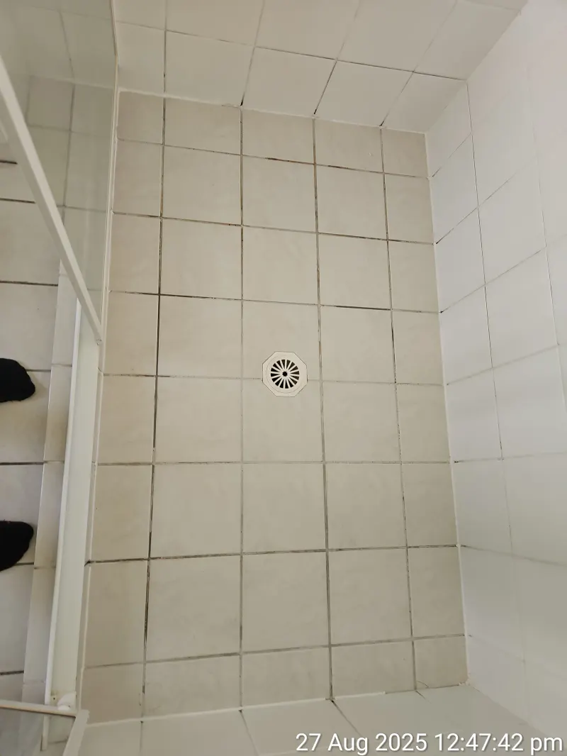 White square-tiled shower floor and drain