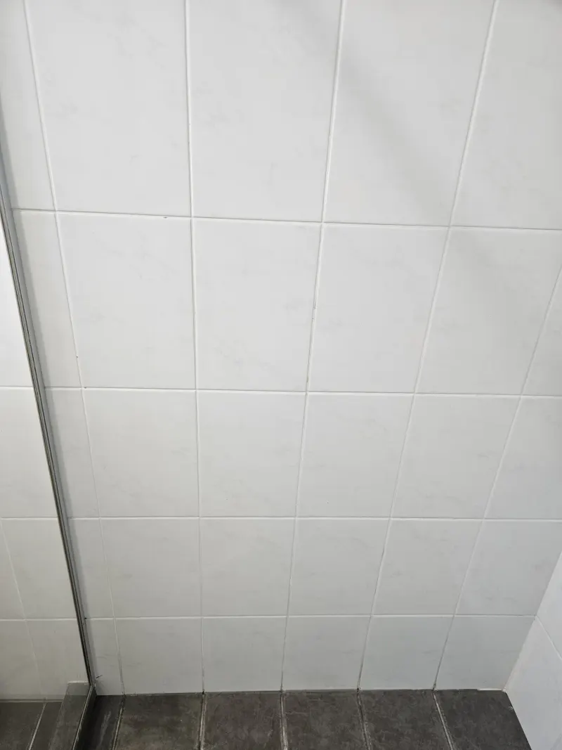 Silicone replacement service detail